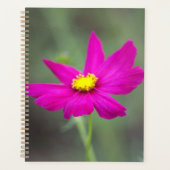 Planificateur Fleur Rose (Devant)