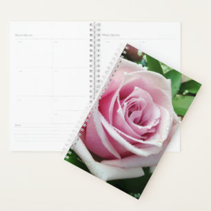 Planificateur floral de jour de rose de rose