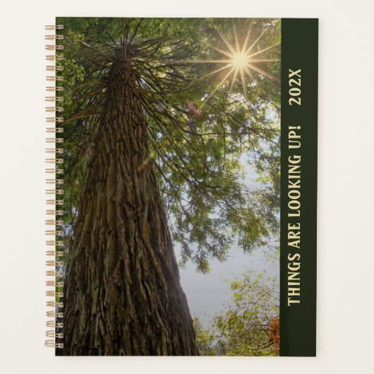 Planificateur Forêt Paisible avec Lumière Dorée (Devant)