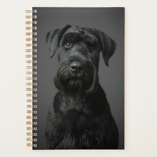 Planificateur Giant Schnauzer (Devant)