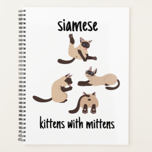 planificateur hebdomadaire, chat siamois