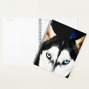 Planificateur Husky Eyes