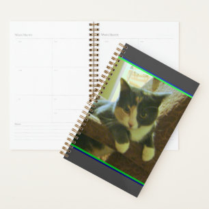 Planificateur Kitty