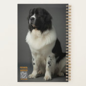 Planificateur Landseer (Dos)
