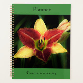Planificateur Lily bicolore