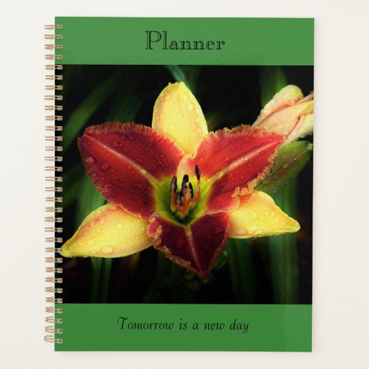 Planificateur Lily bicolore (Devant)