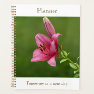 Planificateur Lily Fuchsia
