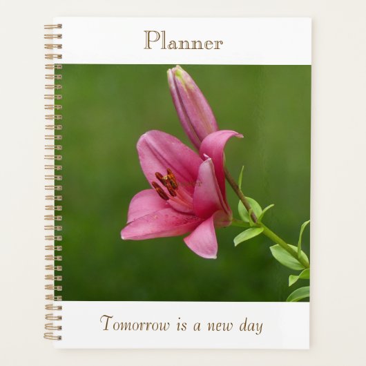 Planificateur Lily Fuchsia (Devant)