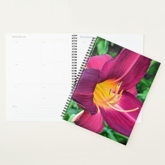 Planificateur Lily Tiger Violet (Devant avec enveloppe)