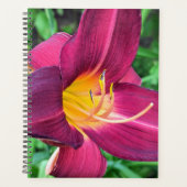 Planificateur Lily Tiger Violet (Devant)