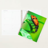 Planificateur Macro Coccinelle Notes Quotidiennes  (Devant avec enveloppe)