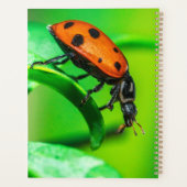 Planificateur Macro Coccinelle Notes Quotidiennes (Dos)