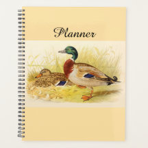 Planificateur Mallard Ducks