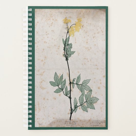 Planificateur Meadowsweet (Devant)