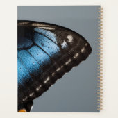 Planificateur papillon bleu (Dos)