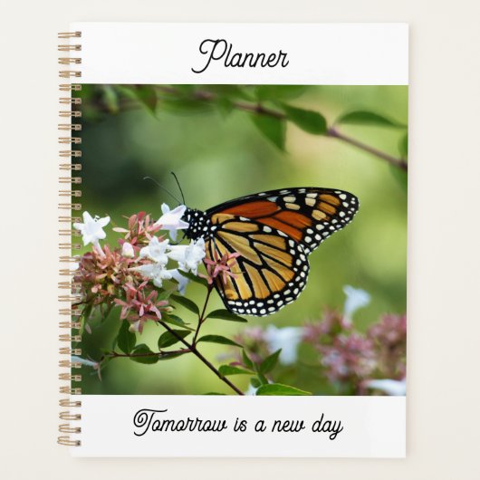 Planificateur Papillon Monarque (Devant)
