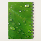 Planificateur personnalisé vert 2023 (Dos)