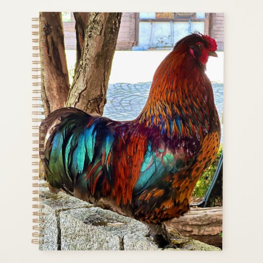 Planificateur personnalisé Vibrant Rooster (Devant)