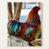 Planificateur personnalisé Vibrant Rooster (Dos)
