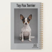 Planificateur pour Toy Fox Terrier (Dos)