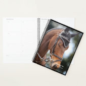 Planificateur quotidien avec un beau cheval - HAMb (Devant avec enveloppe)