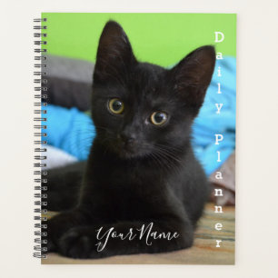 Planificateur quotidien - Black Kitten- HAMbWG