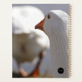 Planificateur quotidien - Canard suivant un canard (Dos)
