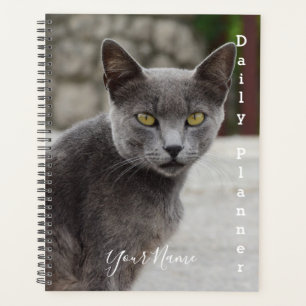 Planificateur quotidien Chartreux Chat Gris - HAMb