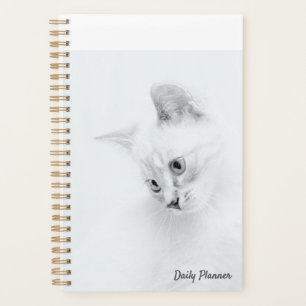 Planificateur quotidien de chats