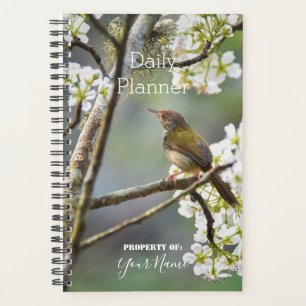 Planificateur quotidien - Oiseau dans un arbre - H