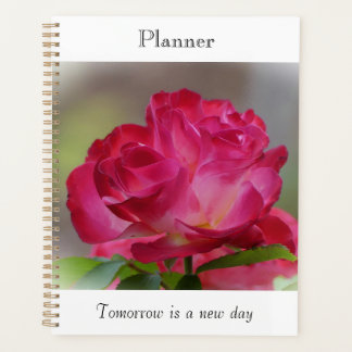 Planificateur Rose de Beauté