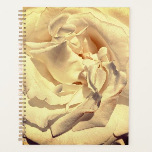Planificateur Rose en couche (Devant)