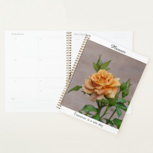 Planificateur Rose Orange