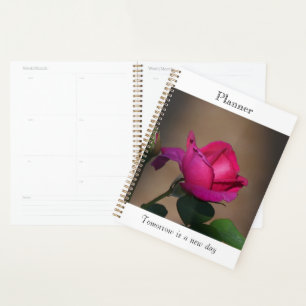Planificateur Rose Rose Profond