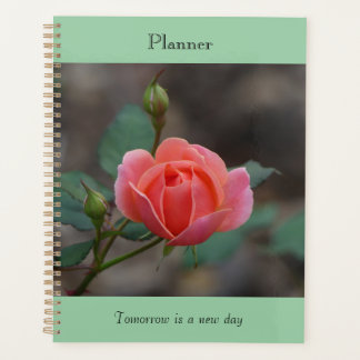 Planificateur Rosebud Pinky