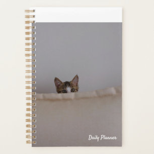Planificateur sans date de chat