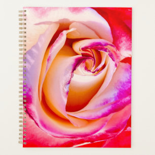Planificateur Spiral Bloom rose