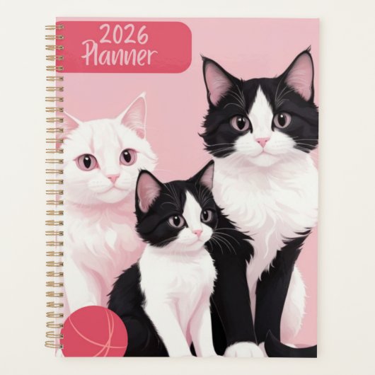 Planificateur Three Kitties 2026 (Devant)