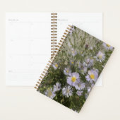 Planificateur Violet Asters (Devant avec enveloppe)