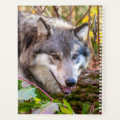 Planificateur Wolf 2024 (Dos)