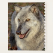 Planificateur Wolf 2024 (Dos)