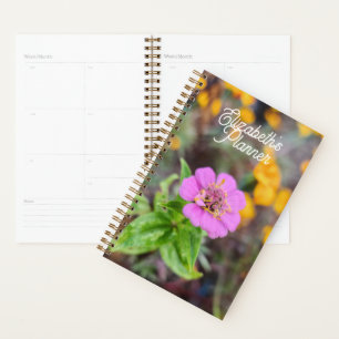 Planificateur Zinnia - Photographie originale