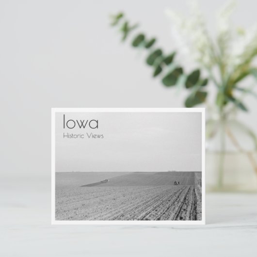 Plankkern Briefkaart (Staand voorkant)