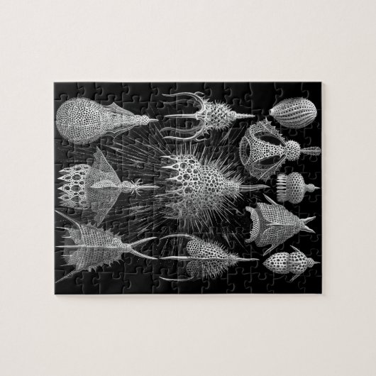 Plankton Shells in Black and White (Cyrtoidea) Legpuzzel (Horizontaal)