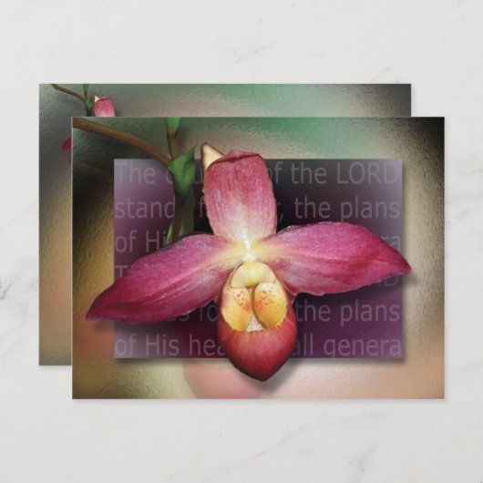 Plannen van zijn hart briefkaart (Voorkant / Achterkant)