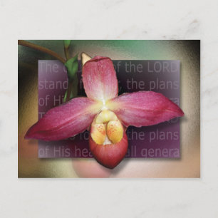 Plannen van zijn hart briefkaart