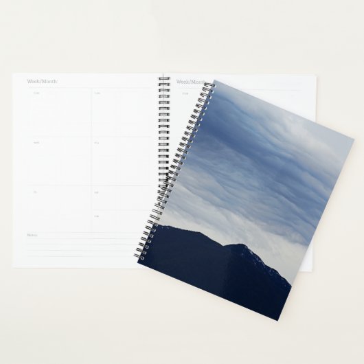 Planner (Display)