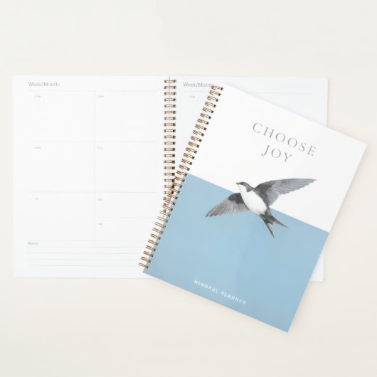 Planner (Display)