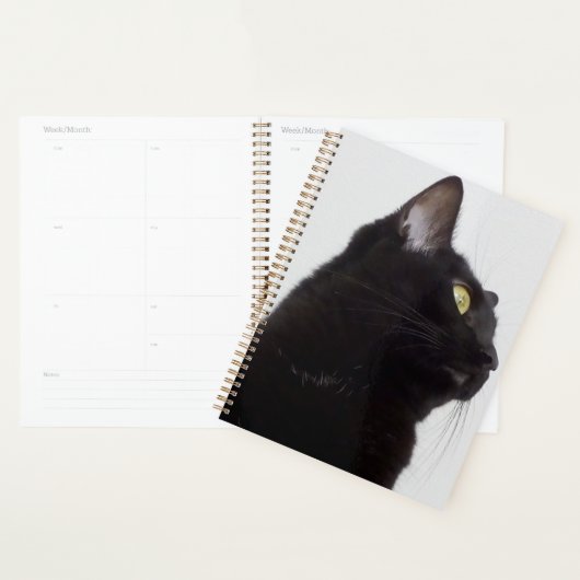Planner (Display)
