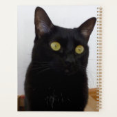 Planner (Achterkant)